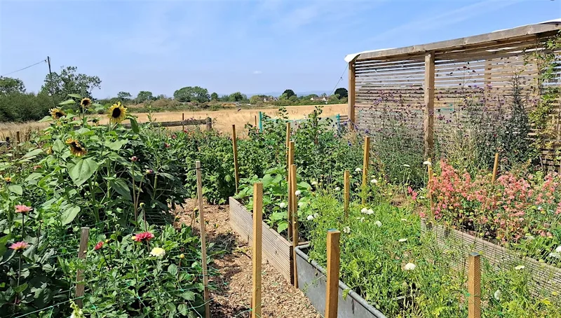 Open Garden and Coffee Popup