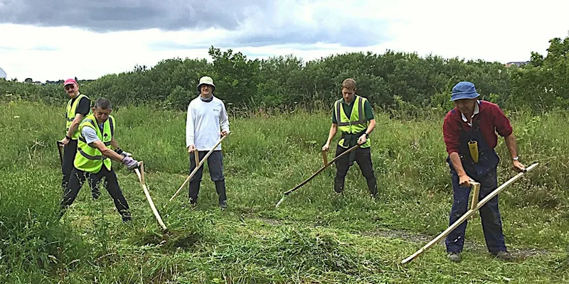 Learn To Mow With An Austrian Scythe