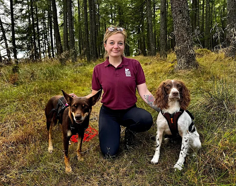 Greyhope Morning: Cairngorm Conservation Dogs