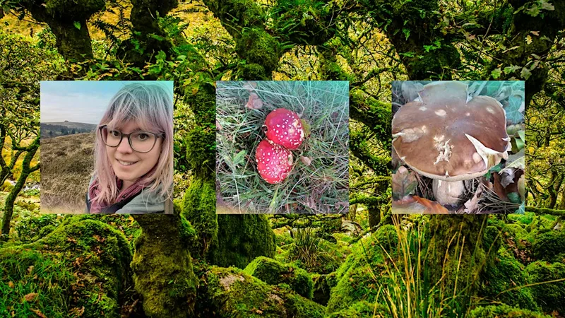 Partner Walk: Moorland Fungi with Jenny Carden