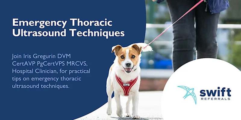 Emergency Thoracic Ultrasound Techniques