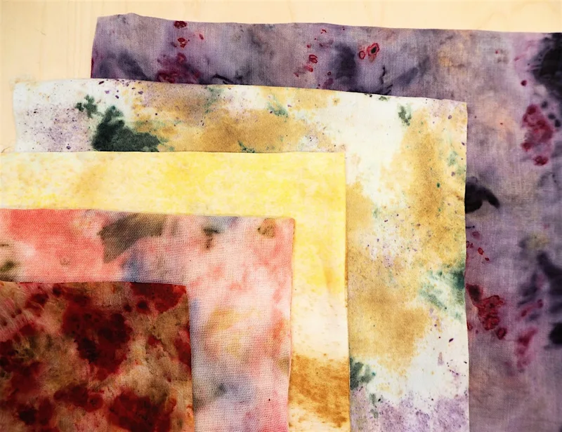 Introduction to Natural Dyeing with Cathy Van Hear
