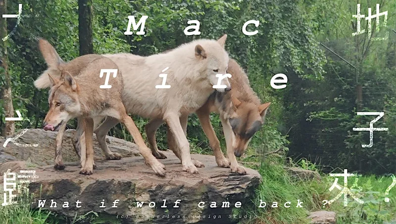 Full day Mindfulness Retreat for Wolves Conservation