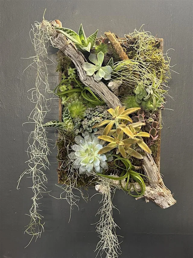 Botanical Picture Frame Workshop