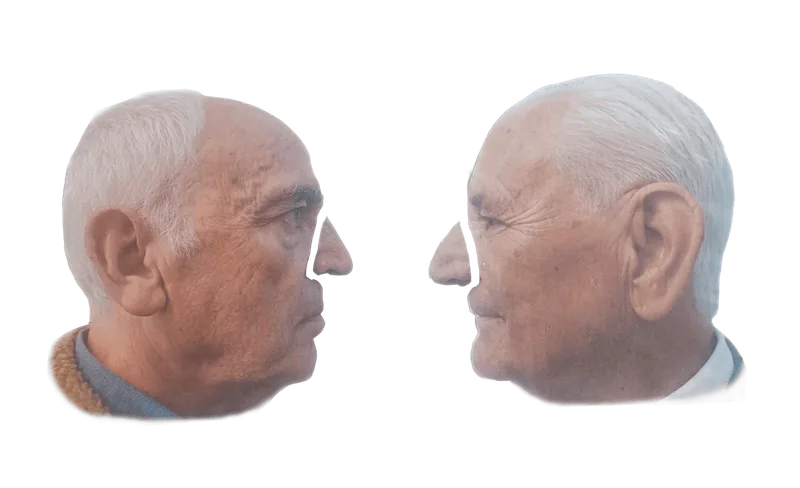 THE NOSE