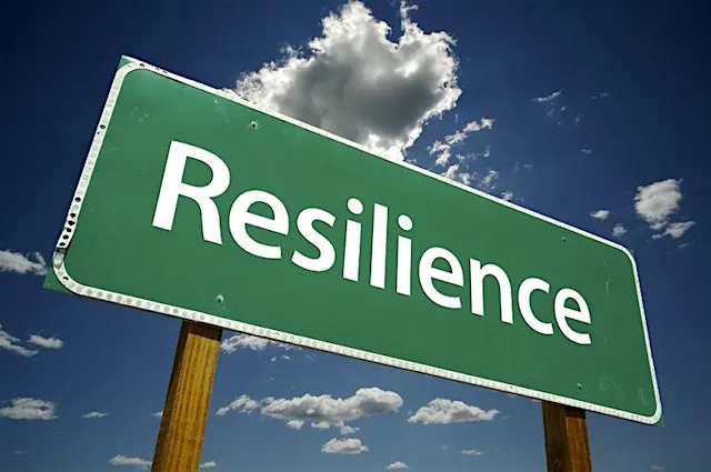 Bounce Forward: Unlocking Resilience Through Uncertainty