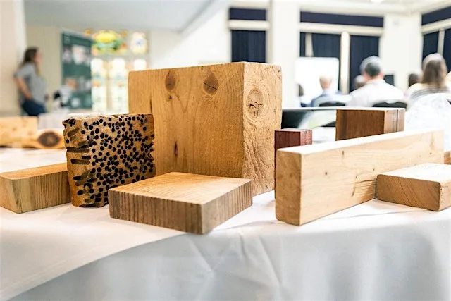 Timber 101: Foundations of Timber Specification & Best Practice
