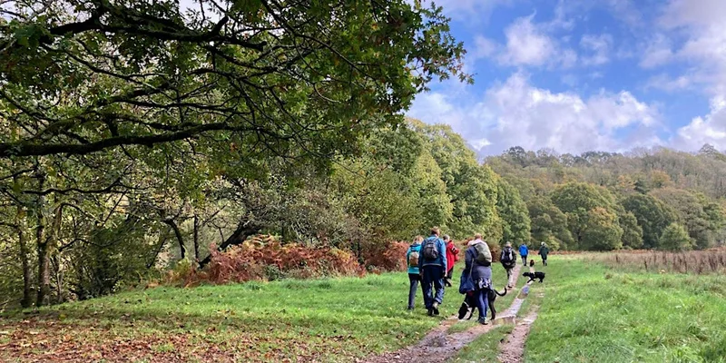 ZEST Singles Autumn River Walk at the Dartington Estate