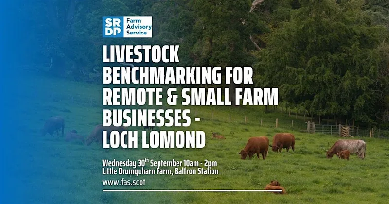 Livestock Benchmarking for Remote & Small Farm Businesses - Loch Lomond