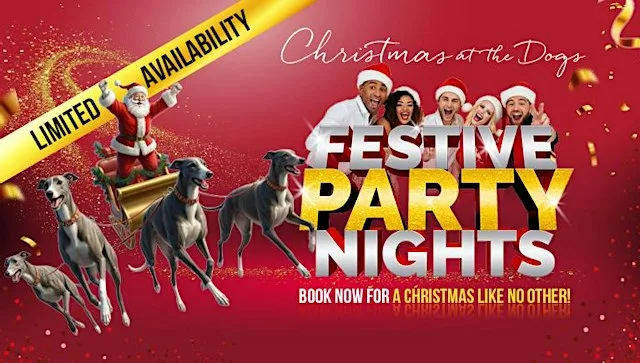 Christmas Party Night