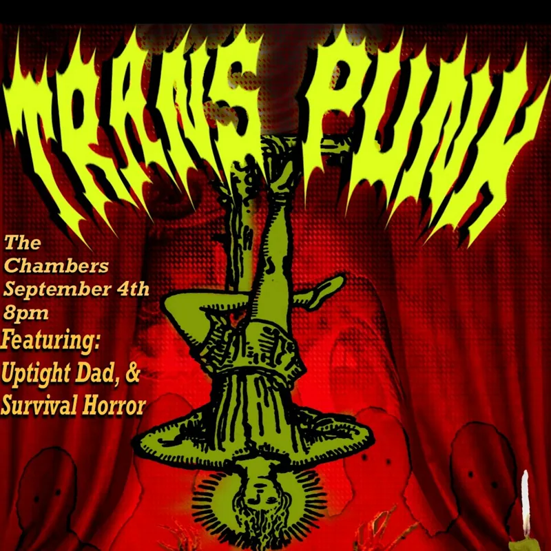 TRANS PUNK presented by Mullingar Pride