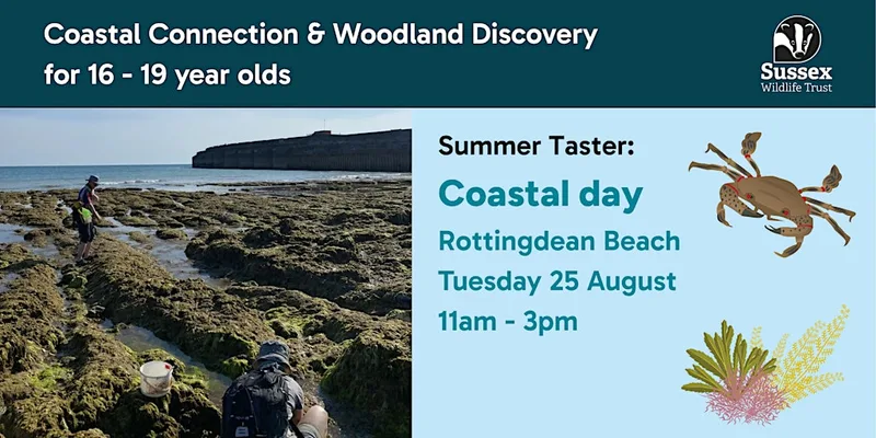 Coastal Day: Summer Taster for 16 - 19 yr olds, Rottingdean Beach