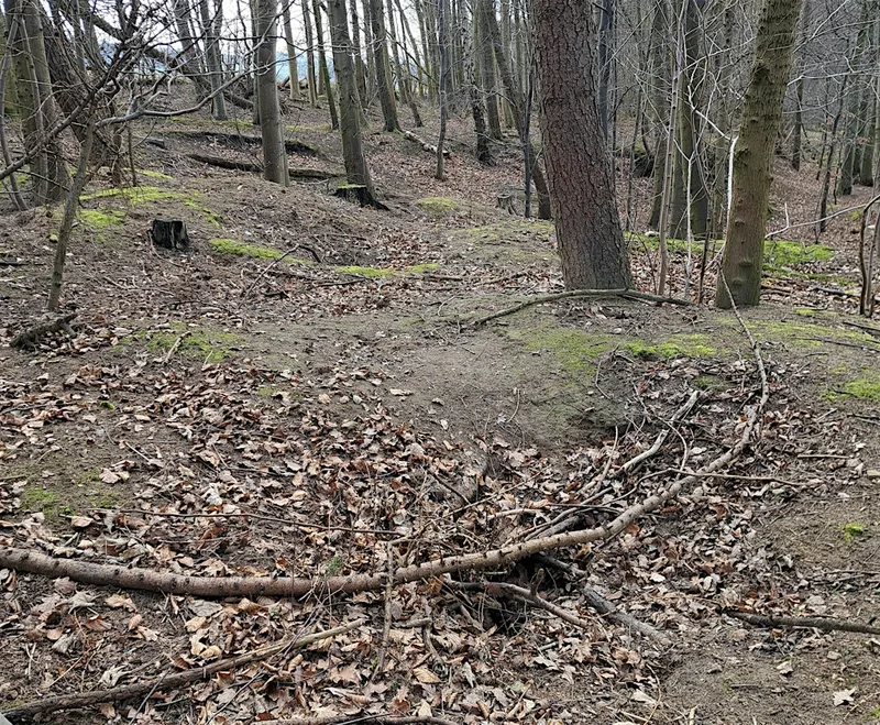 Badger Surveying Workshop