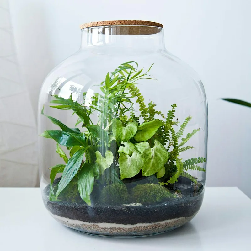 Autumn Terrarium Workshop at Souter Lighthouse