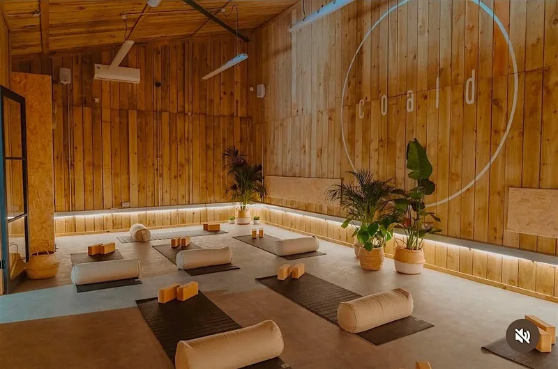 Wellness Reset Day: Breathwork, Workout, Sauna & Cold Plunge | Coald Club