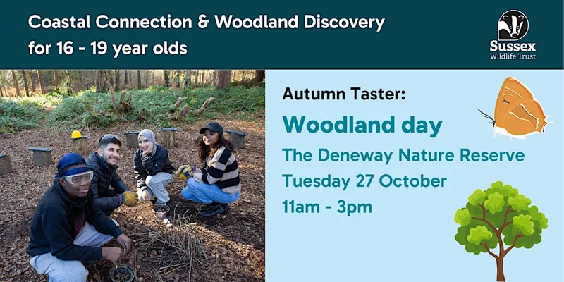 Woodland Day: Autumn Taster for 16 - 19 yr olds, The Deneway Nature Reserve