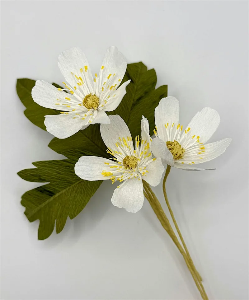 Afternoon Paper flower taster session
