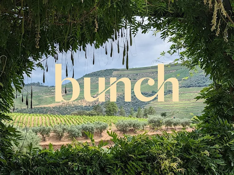 Bunch Launch Party