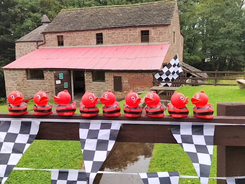 EVENT: Barry Mill Summer Festival & Family Picnic