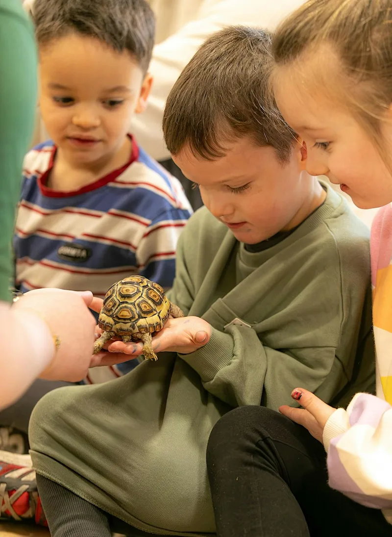 Cobham 1:45 pm exotic animal family encounter
