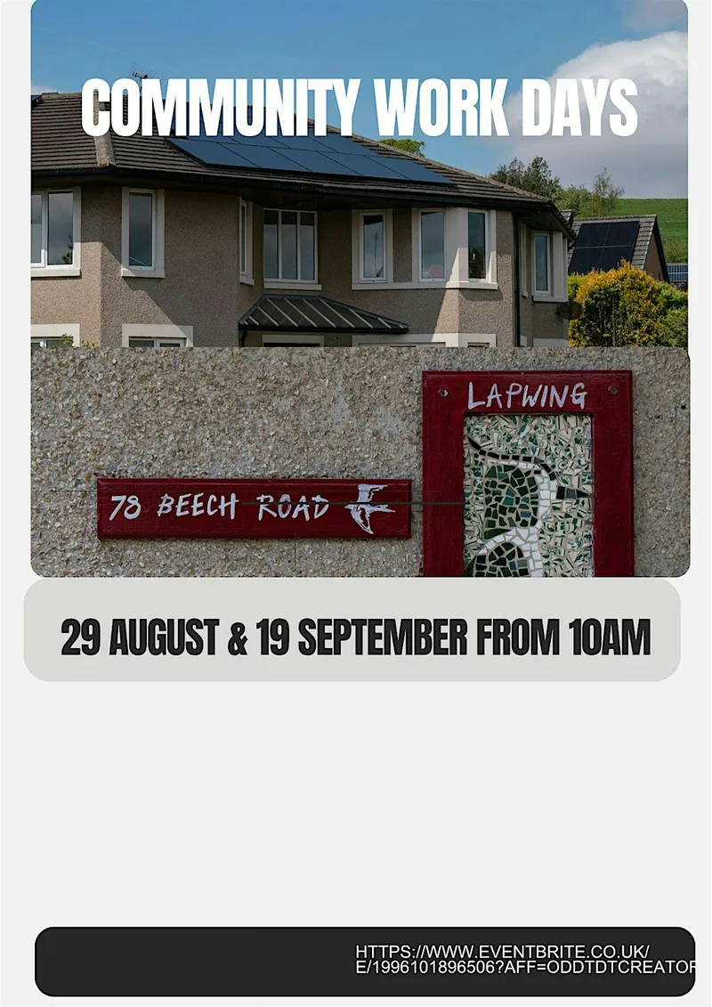 Lapwing community workday