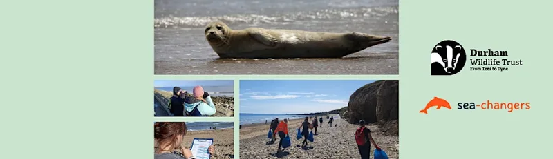 Sea Rangers: Habitat management / bird survey