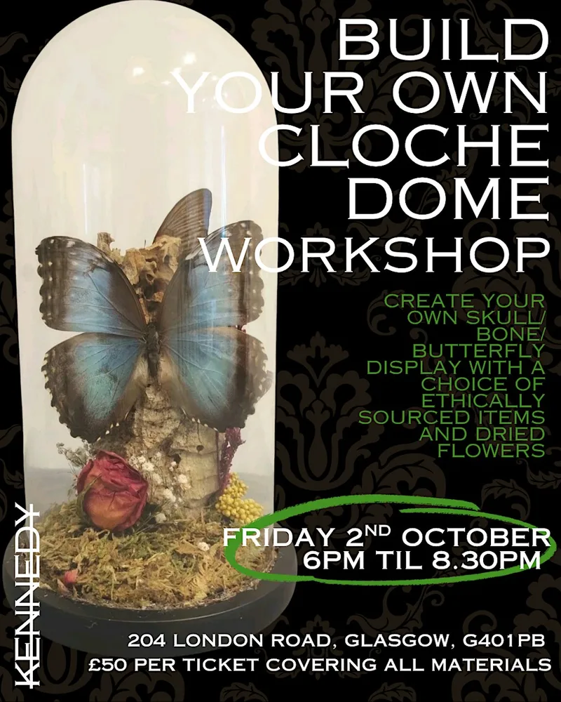 Build your own cloche dome workshop | taxidermy