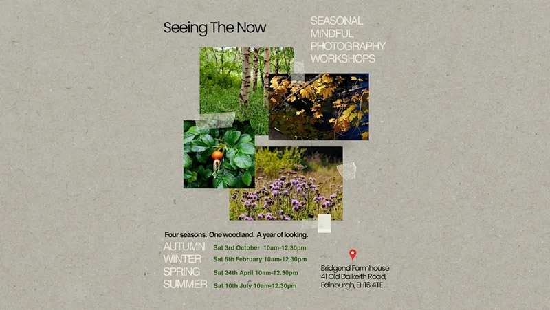 Seeing the now - Mindful Photography