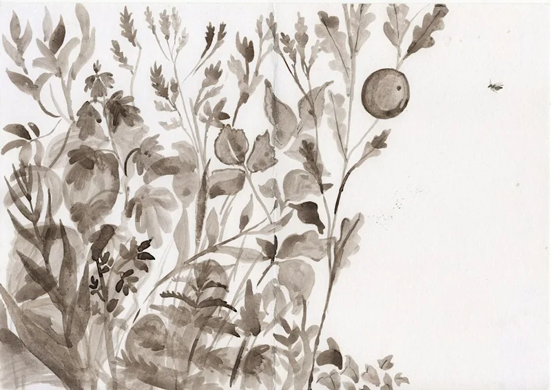 Introduction to Nature Writing: Textures of the New Forest