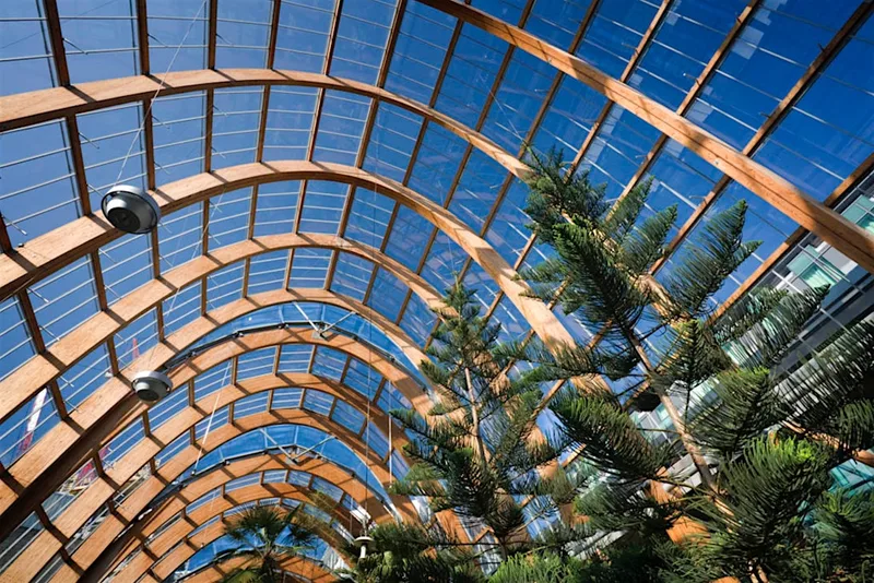 Sheffield city centre tree walk