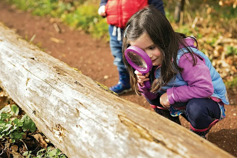 Spurn Detectives