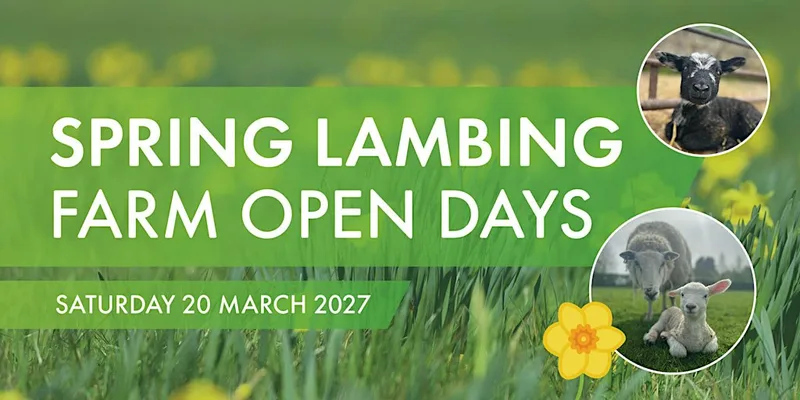 Spring Lambing Farm Open Day - Saturday