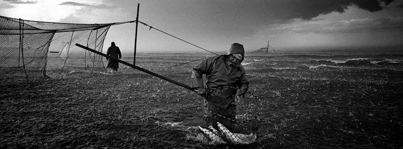 Catching the Tide: Book Launch and In Conversation with Colin McPherson