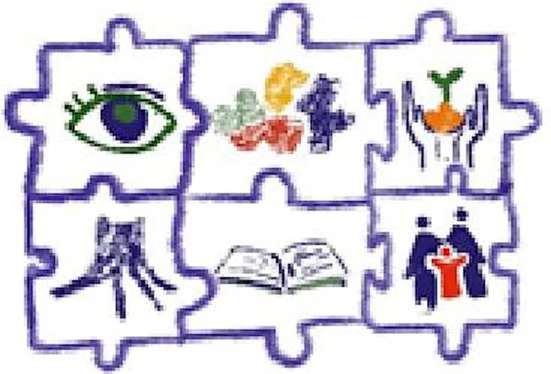Introduction to Cerebral Vision Impairment (CVI)