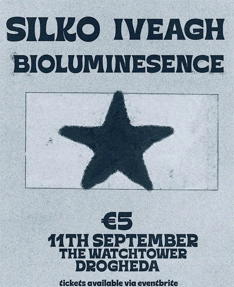 The Watchtower - Silko, Iveagh & Pointaken