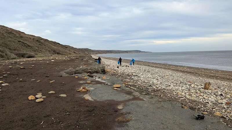 Great British Beach Clean - Horden Beach
