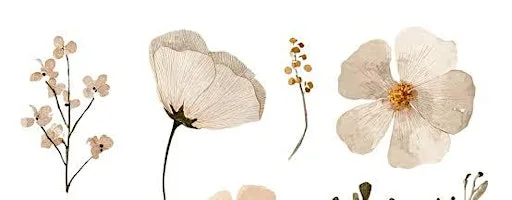Pressed Wildflower Craft Session