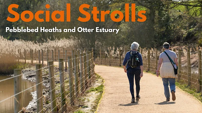 Social Stroll