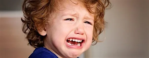 Baby Steps It Takes a Village Workshop: Biting and Challenging Behaviour