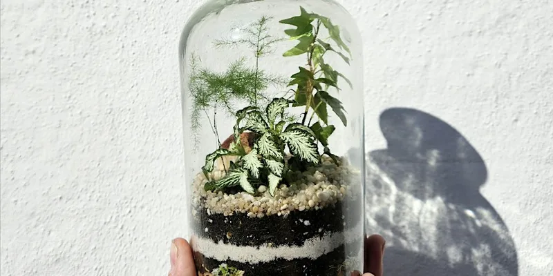 Mother’s Day Special - Small Closed Terrarium Workshop