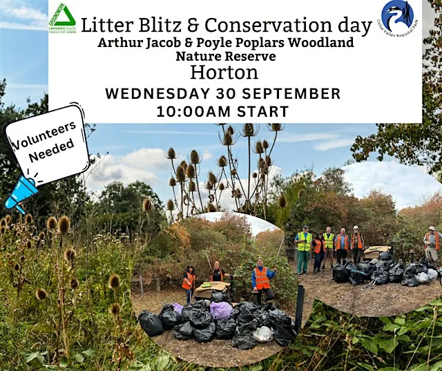 Litter Blitz & Conservation day Arthur Jacob & Poyle Poplars Woodland
