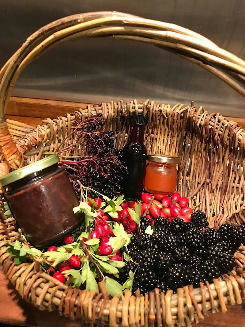 Kiveton - Foraging walk