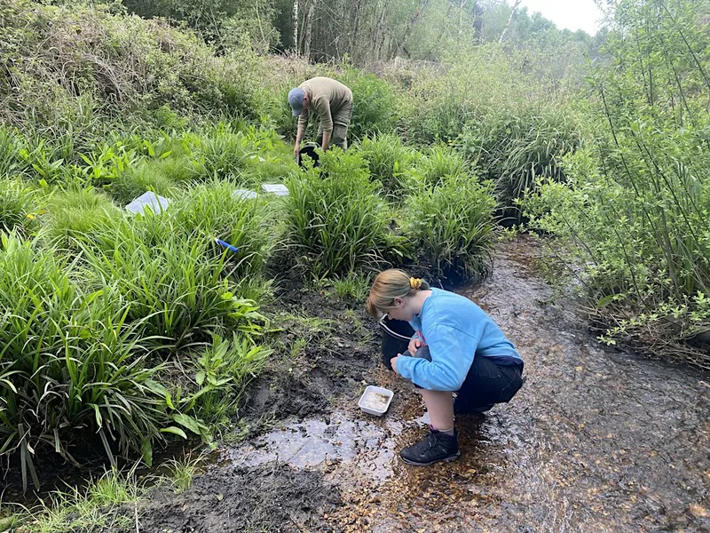 Riverfly Monitoring