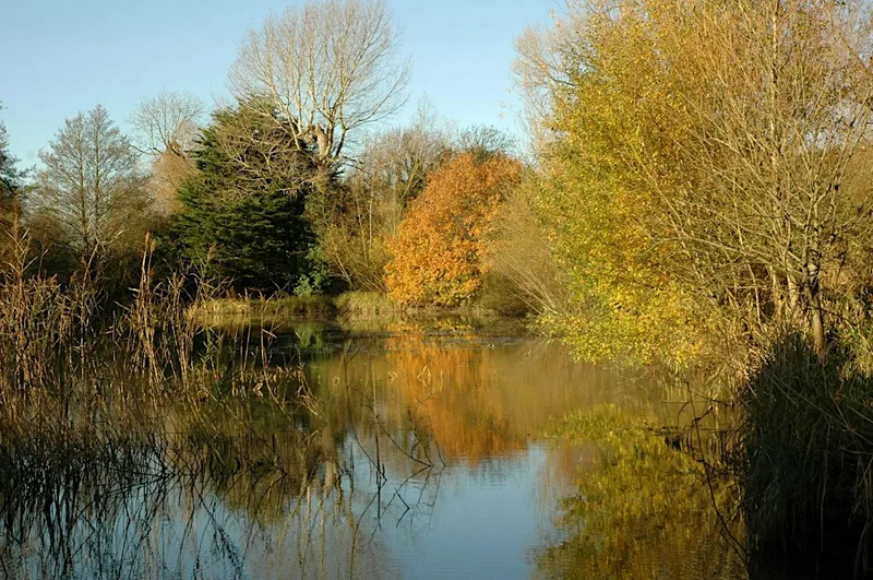 Corporate Wild Work Day at Woods Mill, Henfield