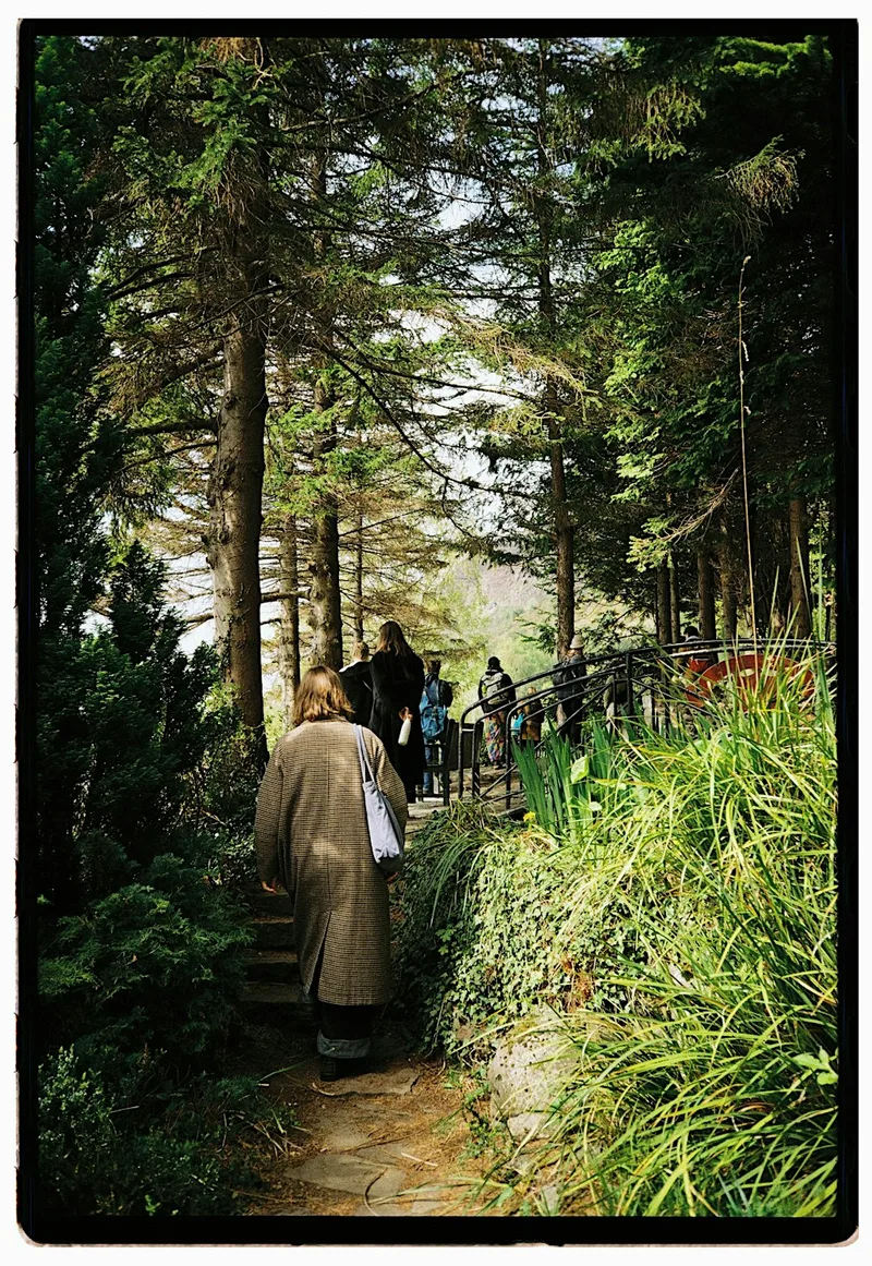 Grateful for the Earth - Forest Bathing Walk