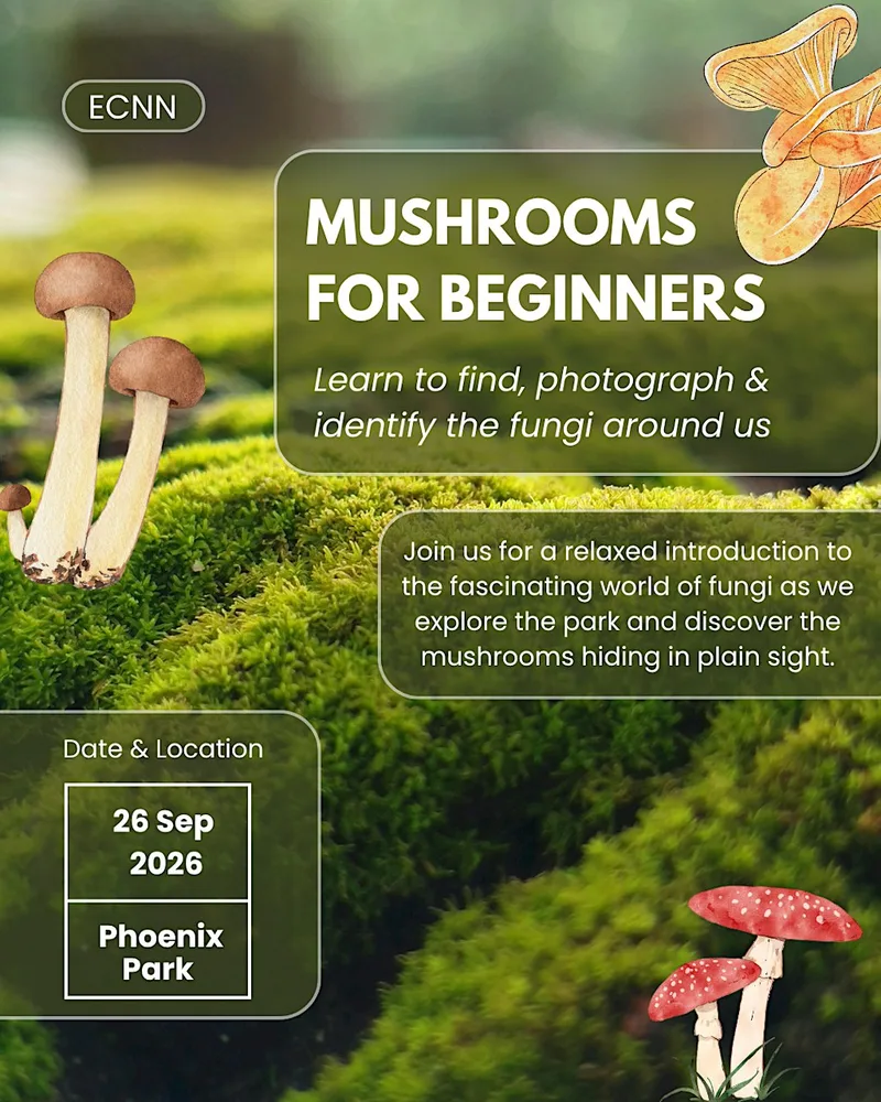 Intro to fungi walk & talk