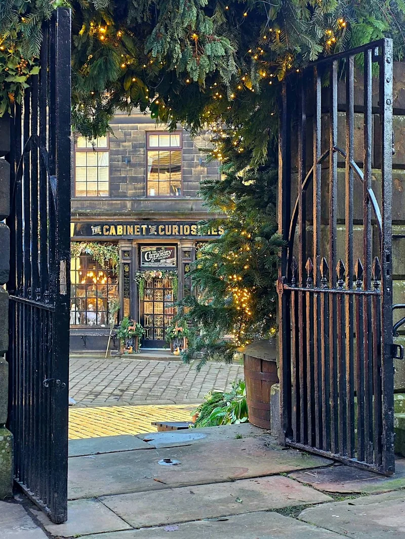 Phone Photography Walk . NOVEMBER