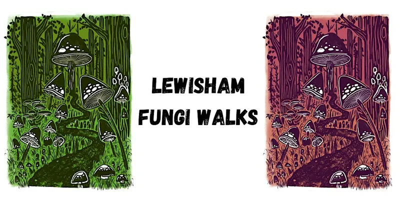 Guided fungi walk - Forster Memorial Park