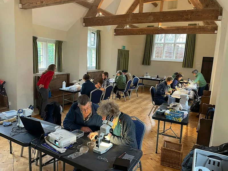 FREE insect biodiversity workshop - NEW LOCATION AND DATE