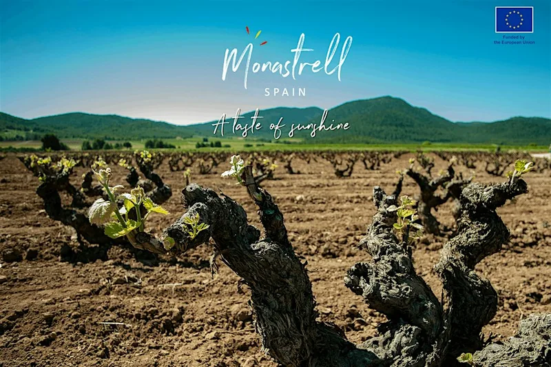 Discovering Spain's Monastrell Grape
